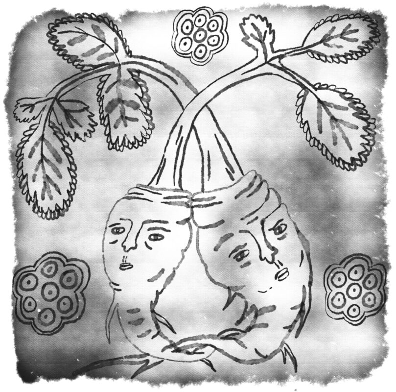 Nežne ma ostrapuješ