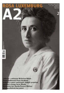 2019 / 2